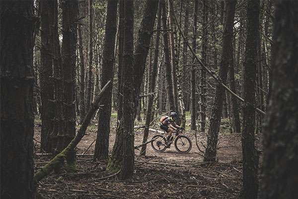 Bicicletas Gravel, ¿Son para mí?
